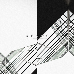 White Noise Medicine