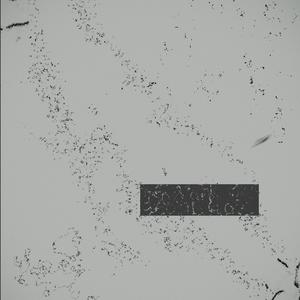 Residual