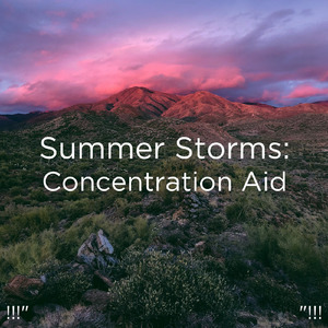 호우 잠