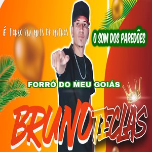 Forró do Meu Goiás (Forro)