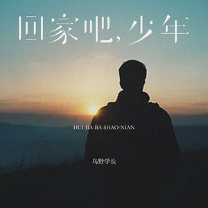 回家吧，少年