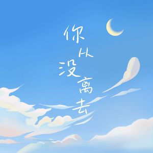 你从没离去