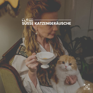 Ruhebereich der Katze