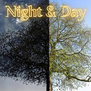 Night & Day