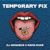 DJ Amadeus - Temporary Fix