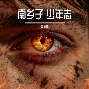 南乡子 少年志