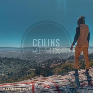 Ceilins Remix (Remix) (Remix)