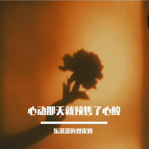 心动那天就预售了心酸