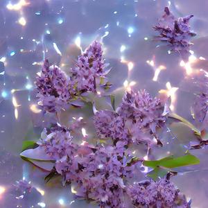 wishmeluck (feat. i9bonsai)