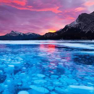 为你解开粉色的梦