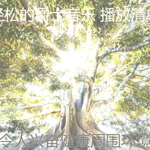 柔和的养生时刻