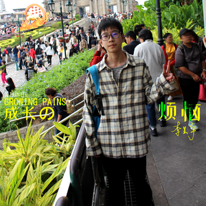 成长的烦恼（民谣版）