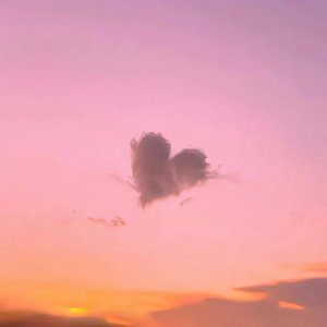 羽落星夜