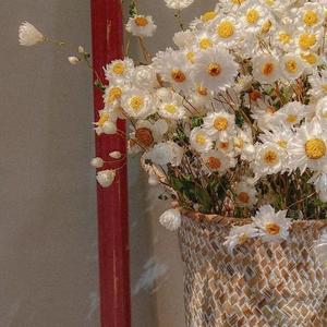 可不可以不勇敢