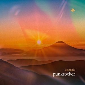 punkrocker (acoustic)
