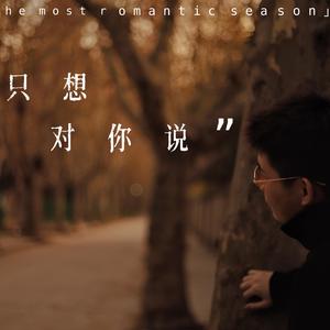 只想对你说 伴奏