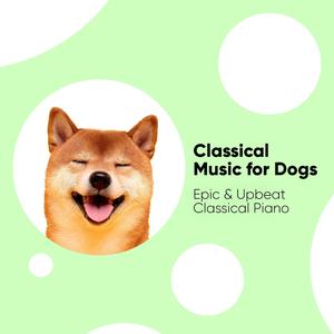 Piano Sonata No. 1 in C Major, Op. 2, No. 3: I. Allegro Spiritoso