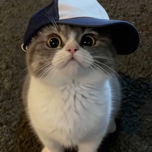 Cảm ơn đã thương anh