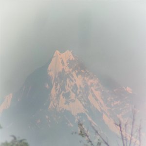 月光下的凤尾竹(葫蘆丝)