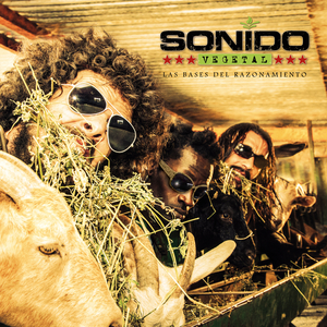 Las Bases del Razonamiento