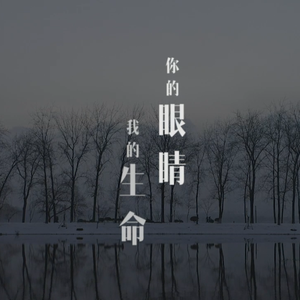 你的眼睛 我的生命(抗疫公益歌曲)