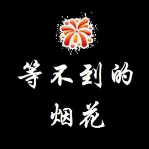 等不到的烟花