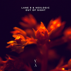 Out Of Sight (Original Mix)