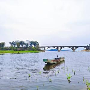 扬沙