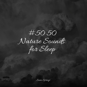 Forest, Night, Frogs