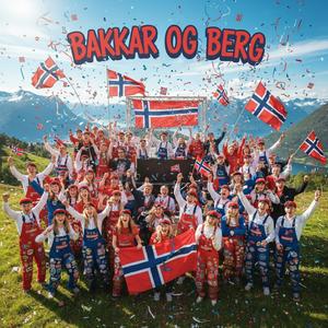 Bakkar og Berg