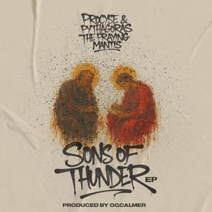 Uppercutz (feat. DJ Zorro)