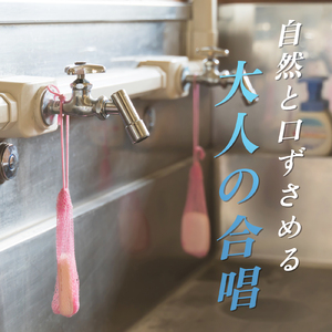 怪獣のバラード (カバー)