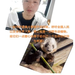 丫丫回来吧 (伤感版)(Live)