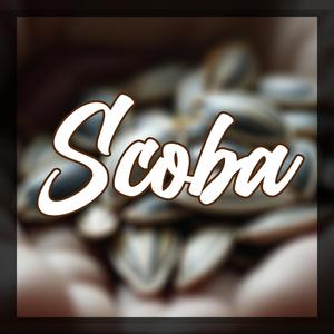 Scoba magică