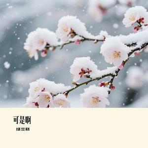可是啊 (绿豆糕 Remix)