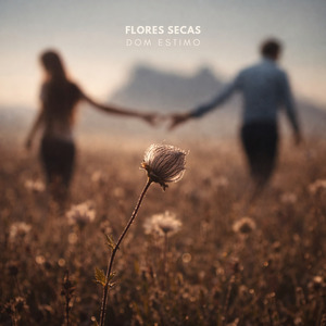 Flores Secas