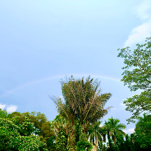 我们少年（伴奏）