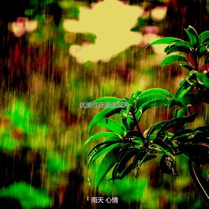 微妙的雨心情