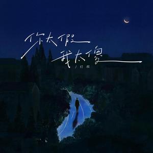 你太假我太傻（你只是轻轻爱了我一下） (伴奏)