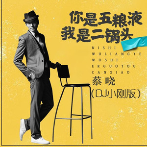 你是五粮液我是二锅头 (DJ小刚版)