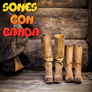 El Son Abajeño
