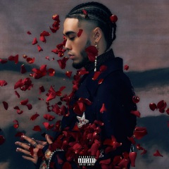 人柱力 (Explicit)