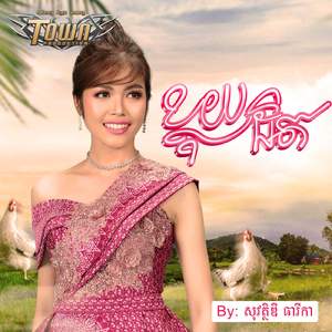 ខ្លុយដិត