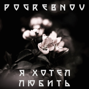 Я хотел любить