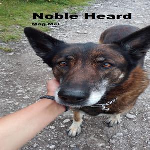 Noble Heart