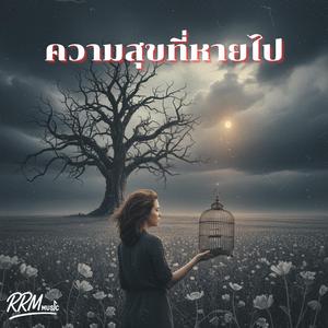 ความสุขที่หายไป