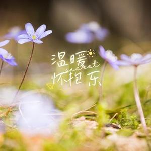 梦境旋律：母爱抚慰 - 睡前音乐