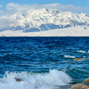 风中摇摆的节奏阿