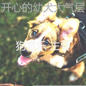 抚慰的训练你的狗回忆