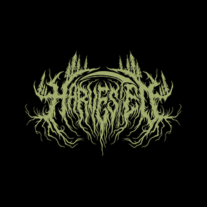 Through the Lens (Single Version)